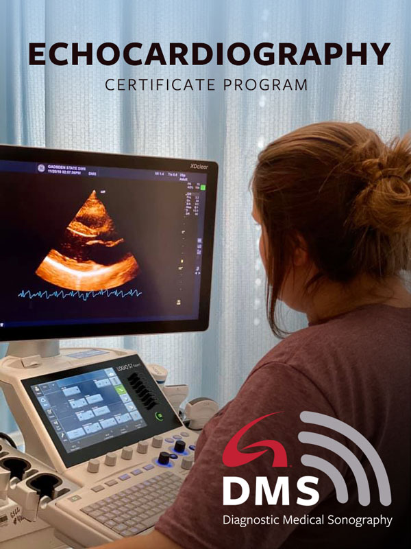 Echocardiography Certificate Program 