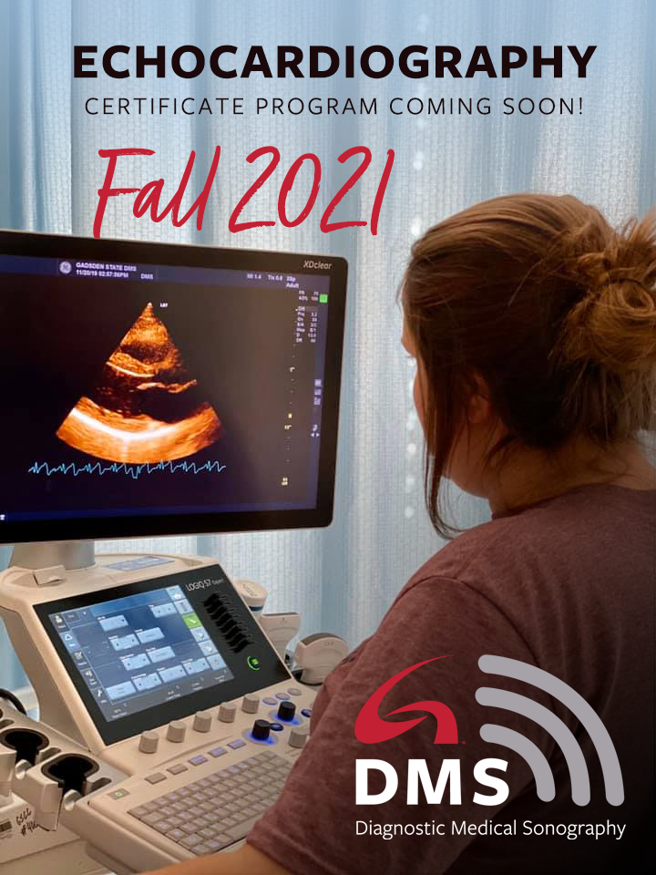 Diagnostic Medical Sonography Health Sciences Gadsden State